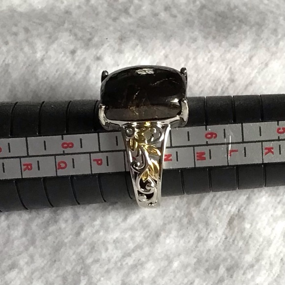 Shungite Ring in Platinum & Gold Over Brass - Picture 8 of 8